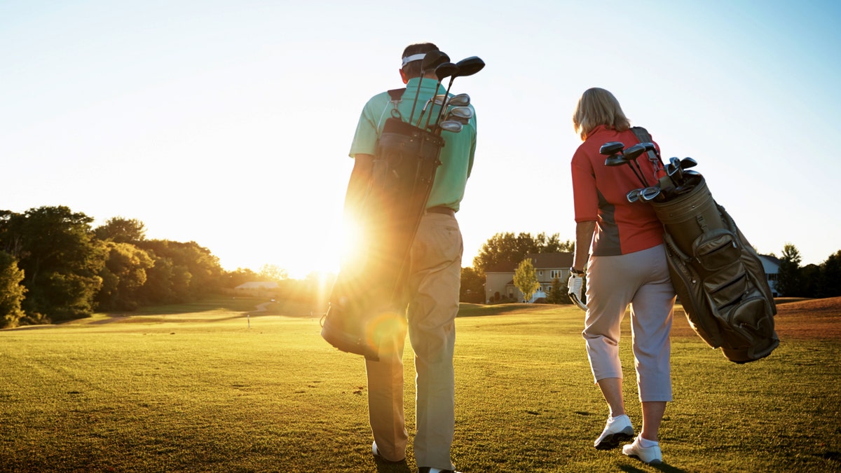 Golf partner